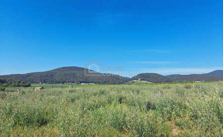Blick von den Grundstücken auf die Weinberge