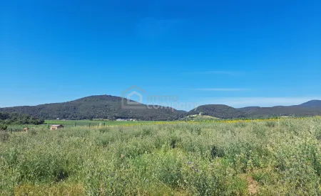 Blick von den Grundstücken auf die Weinberge