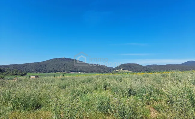 Blick von den Grundstücken auf die Weinberge