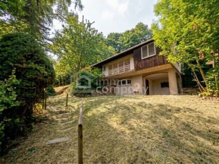 Großes GRUNDSTÜCK mit fast 4.000 m² in Ruhelage mit viel Potential im sonnigen SÜDHANG nahe WIEN