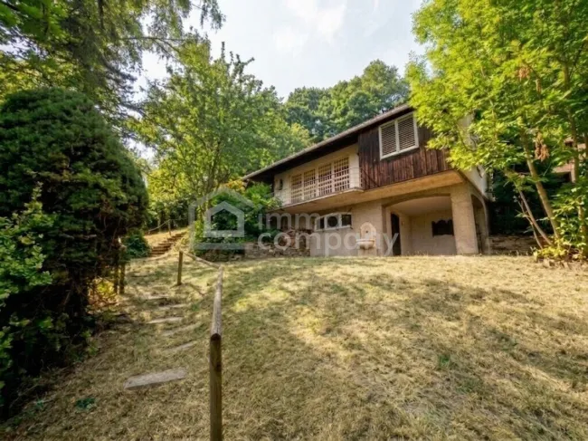 Großes GRUNDSTÜCK mit fast 4.000 m² in Ruhelage mit viel Potential im sonnigen SÜDHANG nahe WIEN - Titelbild