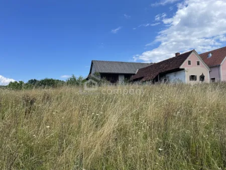 Historisches Anwesen mit rund 8.170 m² Bauland (Dorfgebiet) * Raum für Wohnen, Geschichte und neue Ideen