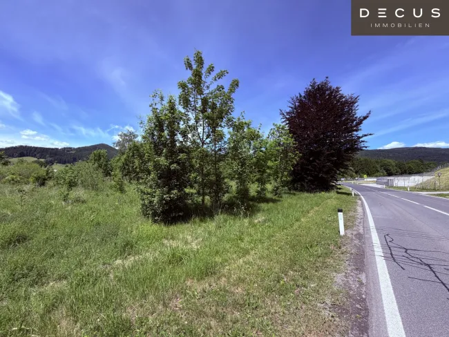 Blick auf das unbebaute Grundstück von der Umfahrungsstraße aus