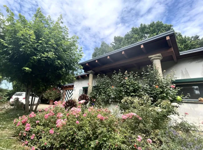 Exklusiver Architektenbungalow mit traumhafter Landschaftsgestaltung in südburgenländischer Toskana gelangt zum Verkauf! - Bild