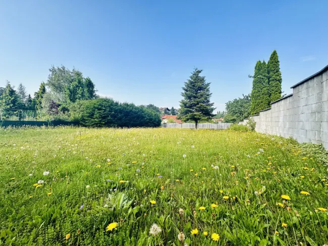 Eigennutzen oder Rendite - Tolle Erdgeschosswohnung mit 43 m² und allgemeinen Garten (Top 1) in Wiesmath - Titelbild