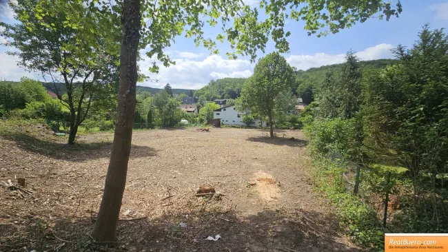 GABLITZ: 2178 m2 GRUNDSTÜCK IN DER LINZERSTRASSE ZU VERKAUFEN - Bild