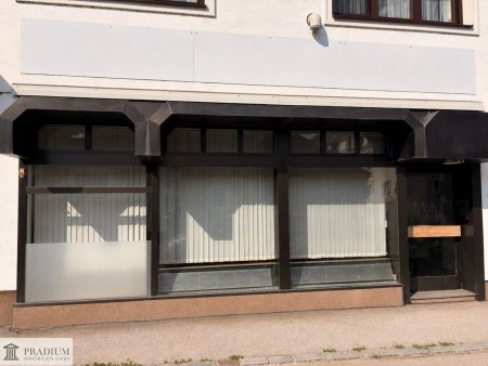 Helles Geschäftslokal mit 94 m² | Großzügige Verkaufsfläche | Top Sichtbarkeit an der Ortsstraße in Biedermannsdorf