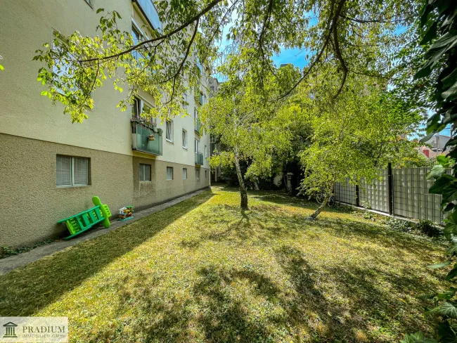 Zentrale 3 Zimmerwohnung - Titelbild