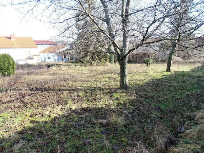 Großes Baugrundstück mit Altbestand in Mannswörth - AUCH FÜR BAUTRÄGER GEEIGNET! (2.230m²).. - Titelbild