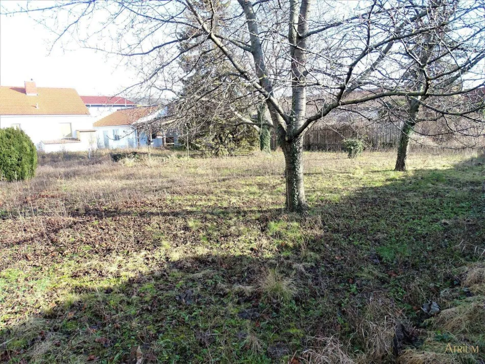 Großes Baugrundstück mit Altbestand in Mannswörth - AUCH FÜR BAUTRÄGER GEEIGNET! (2.230m²).. - Titelbild