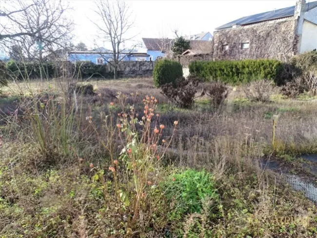 Großes Baugrundstück mit Altbestand in Mannswörth - AUCH FÜR BAUTRÄGER GEEIGNET! (2.230m²).. - Bild