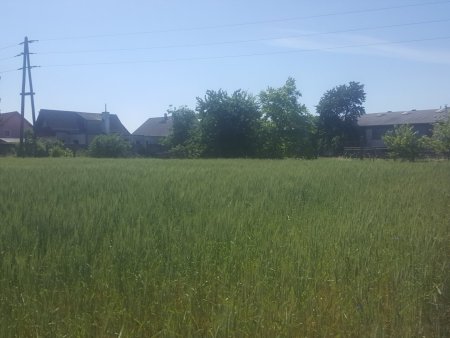 BETRIEBSBAUGRUNDSTÜCKE IM INDUSTRIEGEBIET SEYRING (10.433m²)..