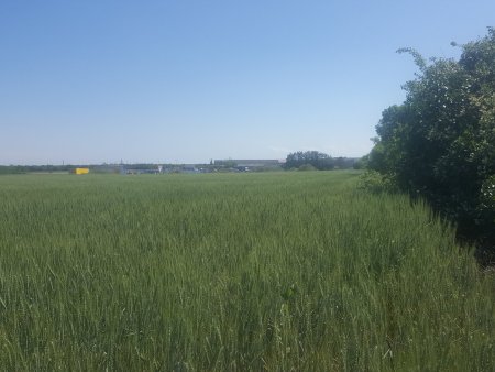 BETRIEBSBAUGRUNDSTÜCKE IM INDUSTRIEGEBIET SEYRING (10.433m²)..