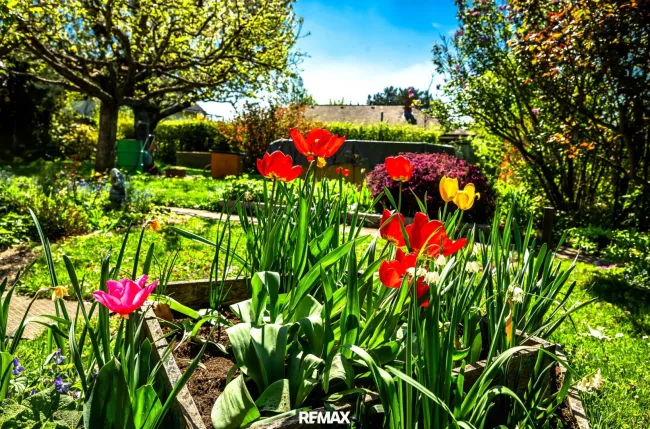 Garten