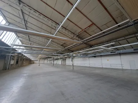 A2 Baden: Flexible Produktionshalle geeignet für Werkstatt, Produktion und Lager