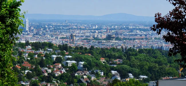 Zwischen Wienerwald und Skyline- Traumgrundstück mit Baugenehmigung - Bild