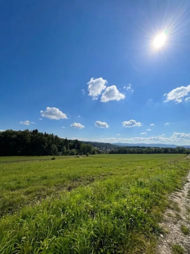 Blick Umgebung Richtung SW