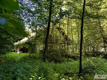 Natur, Wasser & Potenzial – Ehemalige FISCHZUCHT in ruhiger Alleinlage