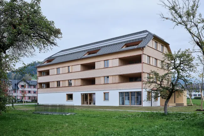 NEUBAU 3-Zimmer-Wohnung mit Terrasse und traumhaftem Sonnenuntergang in Lingenau zum Kauf - Bild