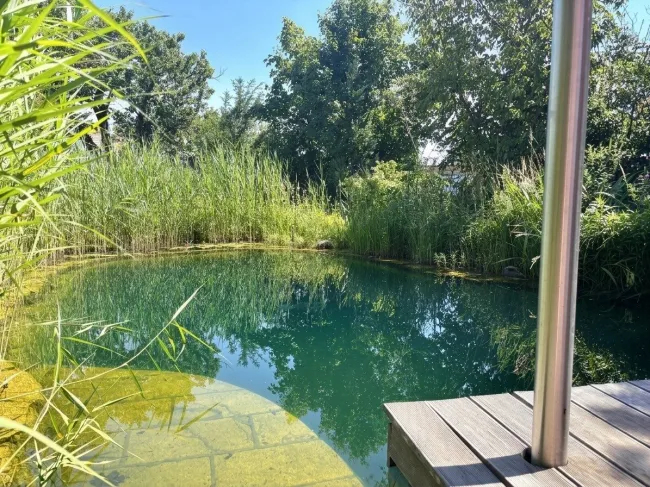 Schwimmteich