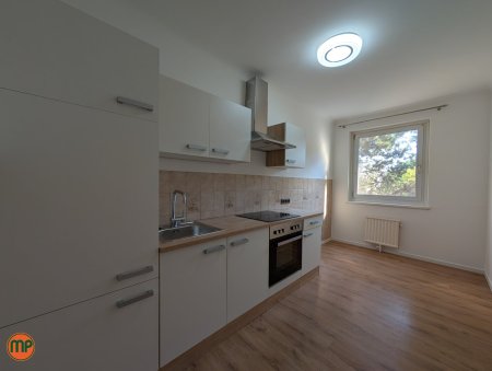 ruhige 2 Zimmerwohnung: frisch für Sie hergerichtet inkl. neuer Küche