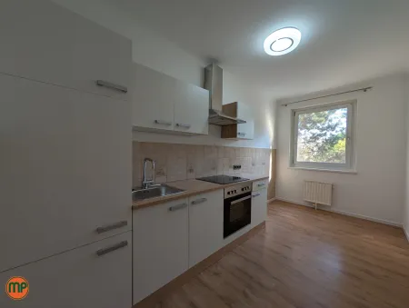 ruhige 2 Zimmerwohnung: frisch für Sie hergerichtet inkl. neuer Küche