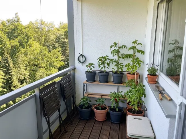 4-Zimmer-Eckwohnung mit großer Südloggia und Panoramablick - Bild