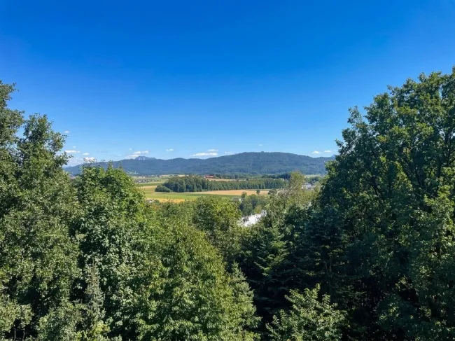 4-Zimmer-Eckwohnung mit großer Südloggia und Panoramablick - Titelbild