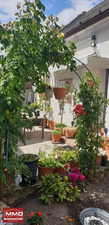 BASTLERHIT ZUM SCHNÄPPCHEN-PREIS IN BESTLAGE - Bild