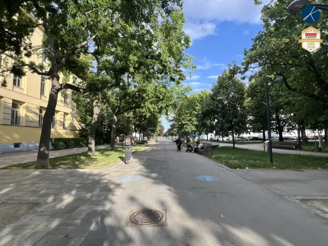 Franklinstraße - Blick Richtung Alte Donau