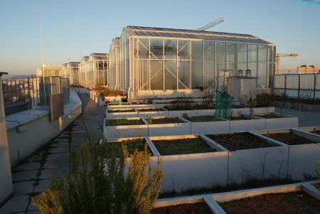 Terrassenwohnung mit Loggia, Gemeinschafsgärten und Abstellplatz