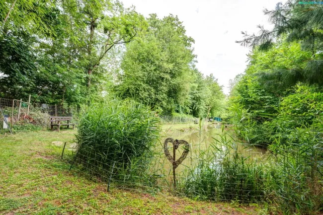 Gartenaufnahmen