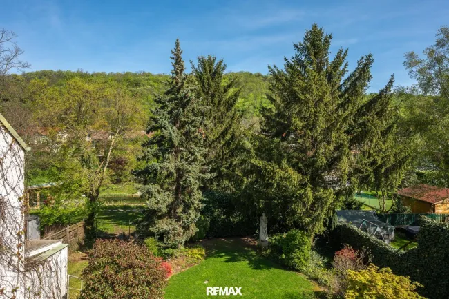 Blick ins Grüne vom Balkon (OG 1)