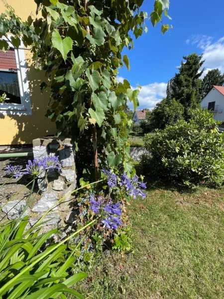 Seltene Gelegenheit in traumhafter Ruhelage- sonniges Grundstück mit älterem Haus und großem Potenzial !