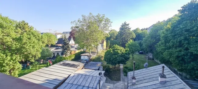 Ausblick auf den Hinterhof mit Grünblick