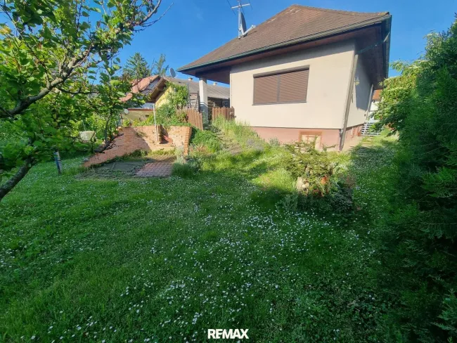 Haus