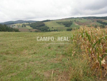 LANDWIRTSCHAFT: Selbstversorger im Wienerwald, 13 ha Acker