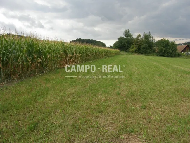LANDWIRTSCHAFT: Selbstversorger im Wienerwald, 13 ha Acker - Bild