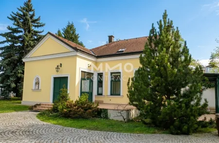 Kleines Miethaus mit Garten und Parkplätzen mitten in Mödling