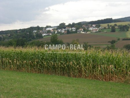 ACKERBAU: 7 ha Wirtschaftsboden, die Chance für eigenständige Produktion, arrondiert, eigener Brunnen vorhanden, Wienerwaldregion