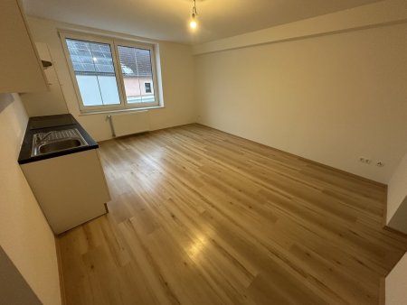 Nette 1-Zimmer-Wohnung in Dietmanns