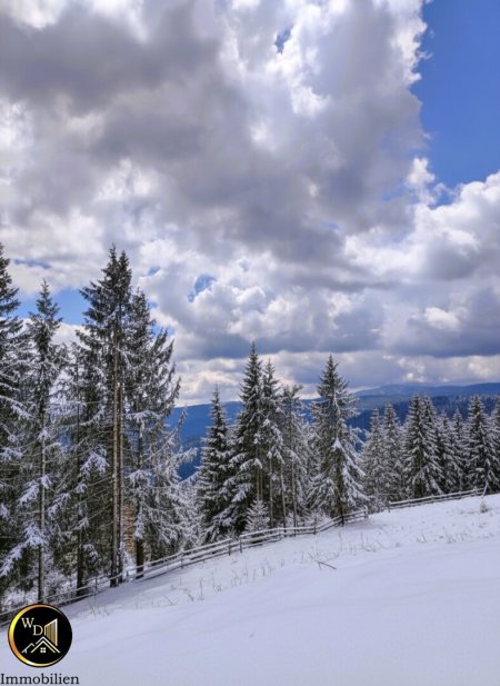 Alpen-Baugrundstück, voll aufgeschlossen auf 1.250 Metern Seehöhe!