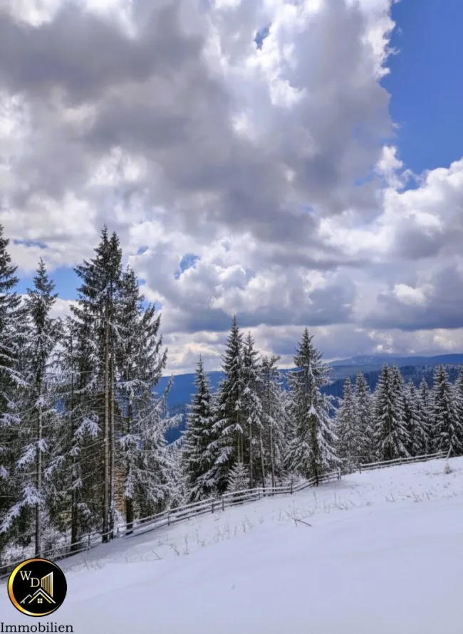 Alpen-Baugrundstück, voll aufgeschlossen auf 1.250 Metern Seehöhe! - Bild