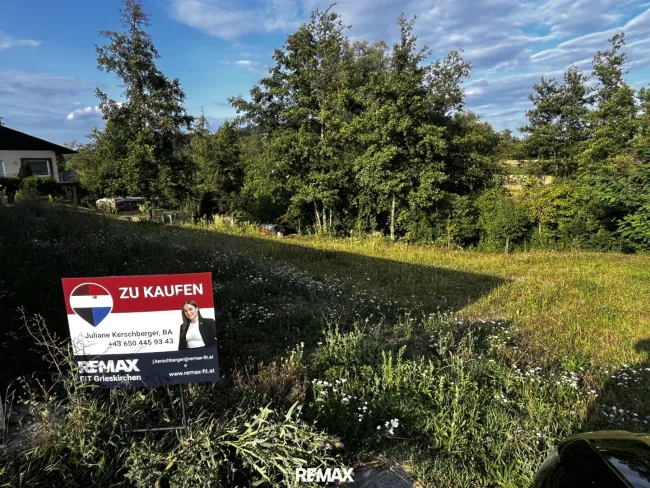 810 m² Baugrundstück in Wallern an der Trattnach - Titelbild