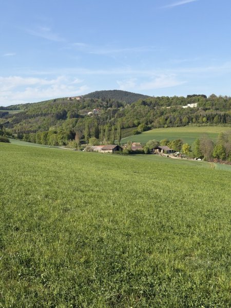 20 ha Landw. Anwesen I Bauernhof