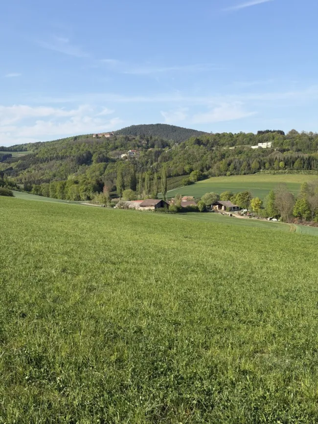 20 ha Landw. Anwesen I Bauernhof - Bild