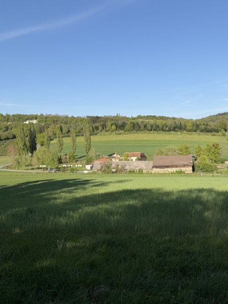 20 ha Landw. Anwesen I Bauernhof