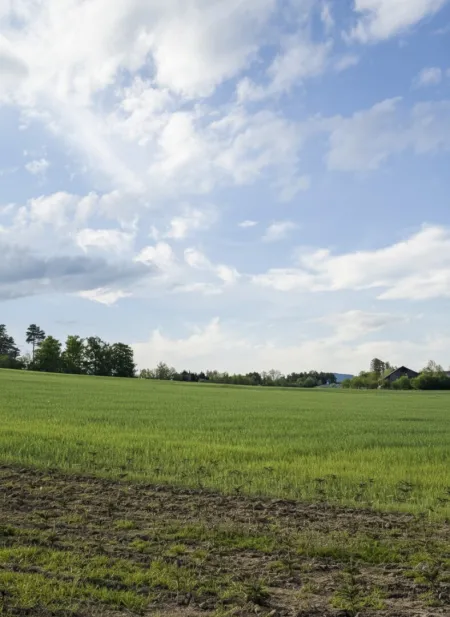 Bauernhof in Alleinlage