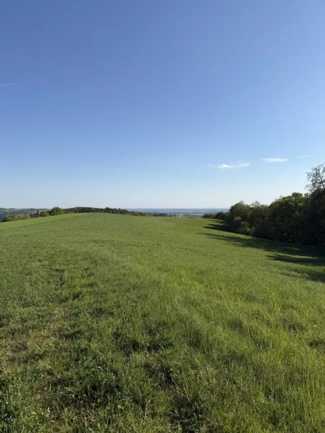 20 ha Landw. Anwesen I Bauernhof - Bild