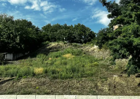 Bauland in Grieskirchen – 1.312 m² ohne Bauzwang